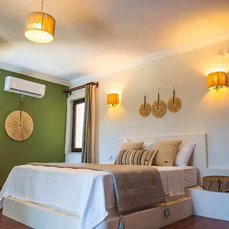 Marmaris Private Villa-villa Lufu -2- וילה מוגלה